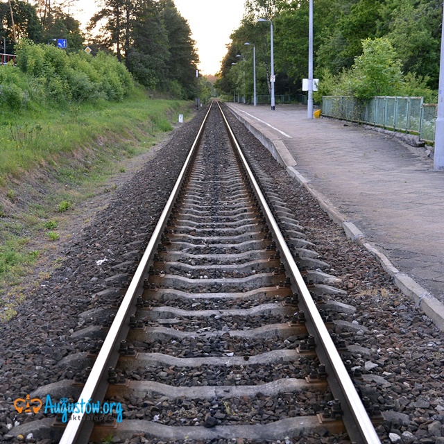 Wykoleił się pociąg  towarowy na trasie Suwałki – Augustów.