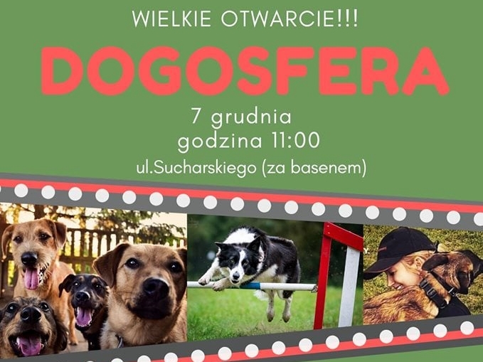 Otwarcie psiego parku „Dogosfera”