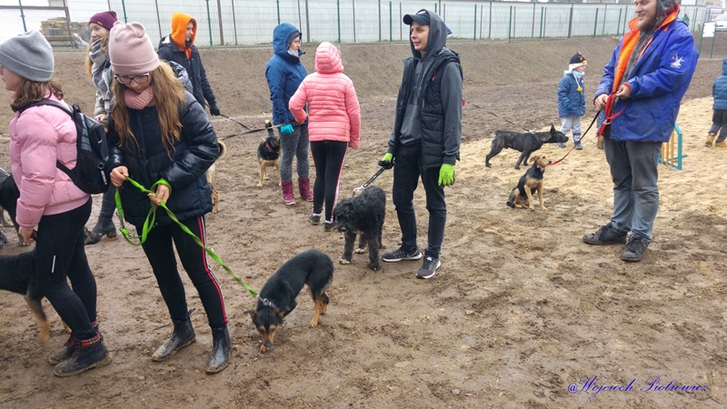 Psi park „Dogosfera” w Augustowie oficjalnie otwarty