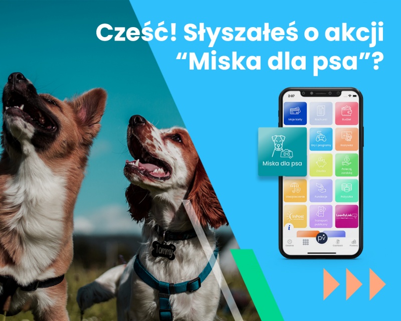 „BILET KUPUJESZ, MISKĘ FUNDUJESZ”, CZYLI AKCJA MISKA DLA PSA