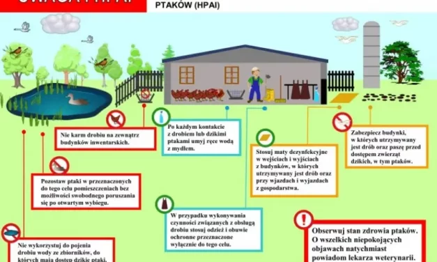 Komunikat Powiatowego Lekarza Weterynarii w Augustowie w sprawie zagrożenia wystąpienia grypy ptaków