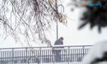 Synoptycy zapowiadają śnieżyce w północno-wschodnim regionie Polski