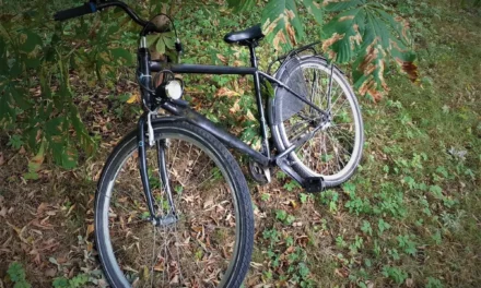 10-latek ukradł rower, później porzucił go w krzakach