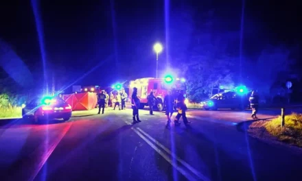 Śmiertelny wypadek drogowy na dk 16 pomiędzy Augustowem i Sejnami [FOTO]