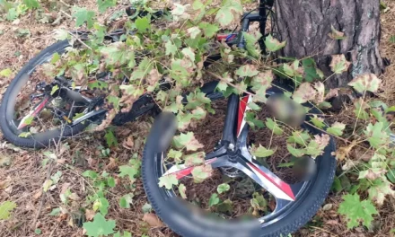 Skradziony rower przykrył gałęziami