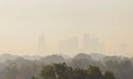 Dzień Czystego Powietrza – sprawdź czym oddychasz i zadbaj o środowisko
