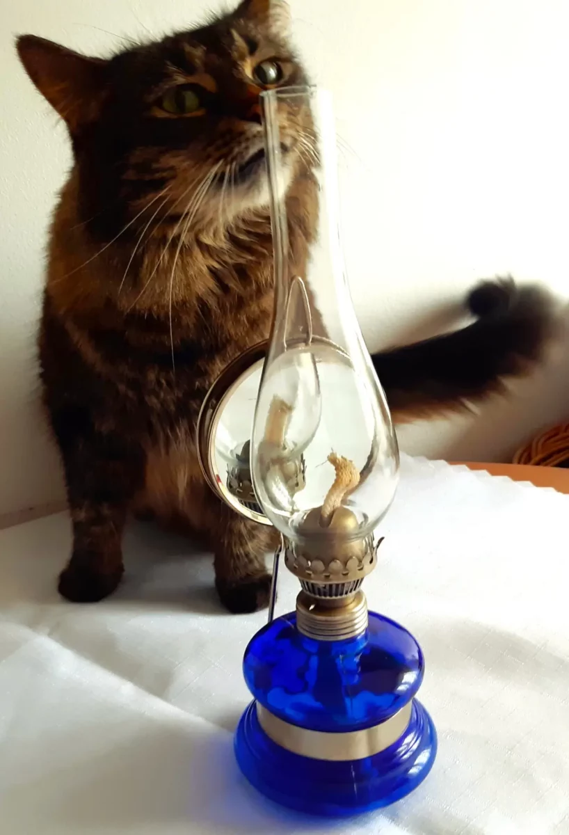 Kotka Tola z lampą naftową, fot. Józefa Drozdowska