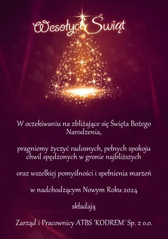 Zdjęcie WhatsApp 2023-12-21 o 09.55.36_ebe30d98