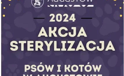 Trwa bezpłatny program sterylizacji psów i kotów w ramach Augustowskiego Budżetu Obywatelskiego.