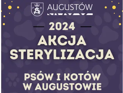 Trwa bezpłatny program sterylizacji psów i kotów w ramach Augustowskiego Budżetu Obywatelskiego.