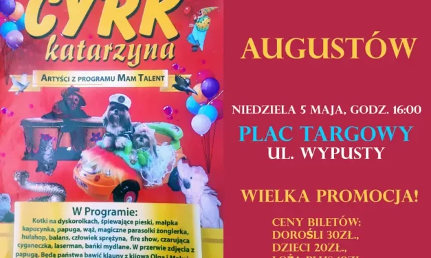 Augustów: CYRK Katarzyna ZAPRASZA ‼🎪