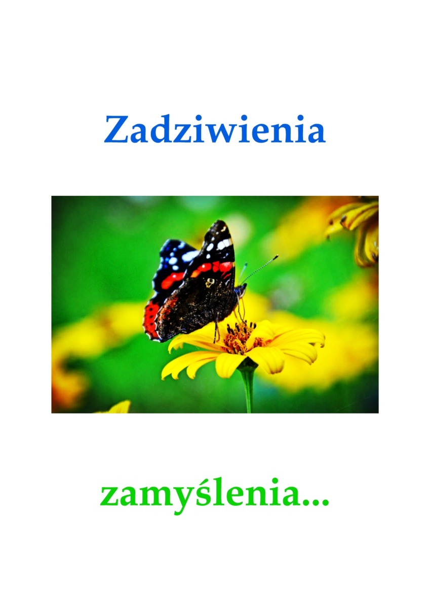 z poezją (6)
