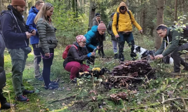 Augustów: Z Bractwem Bartnym w las – Spacer Mykologiczny [Foto]