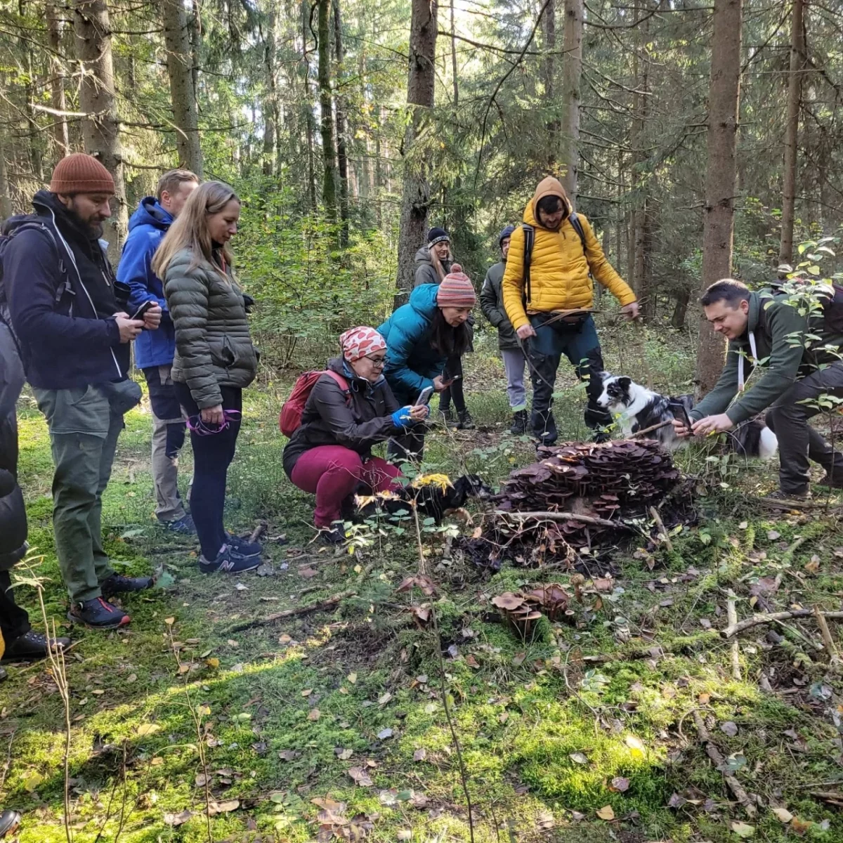 Augustów: Z Bractwem Bartnym w las - Spacer Mykologiczny