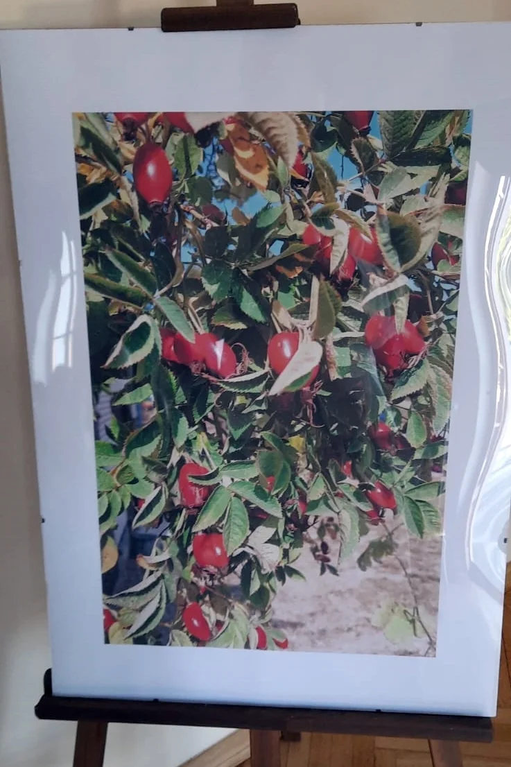 Pożegnanie Lata (16)