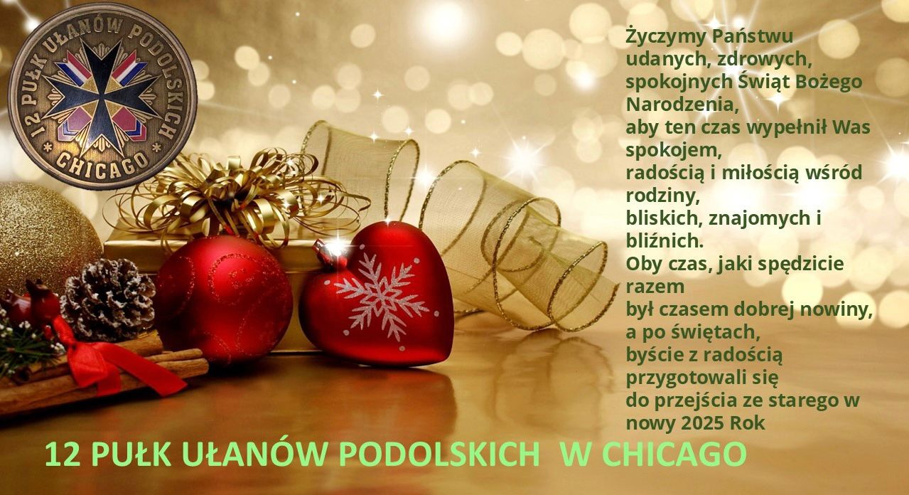 Zdjęcie WhatsApp 2024-12-23 o 20.40.44_238d8726
