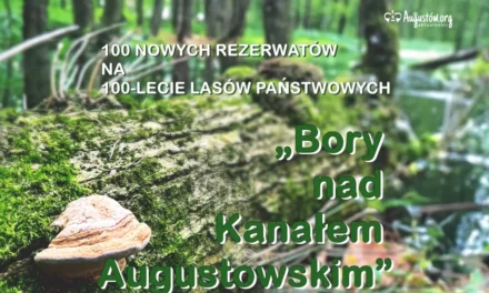 Augustów: „Bory nad Kanałem Augustowskim”, nowy rezerwat …