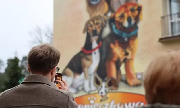 Augustów: Nowy mural przypomina o bezdomnych psach. Augustowskie schronisko Sonieczkowo ma już 10 lat