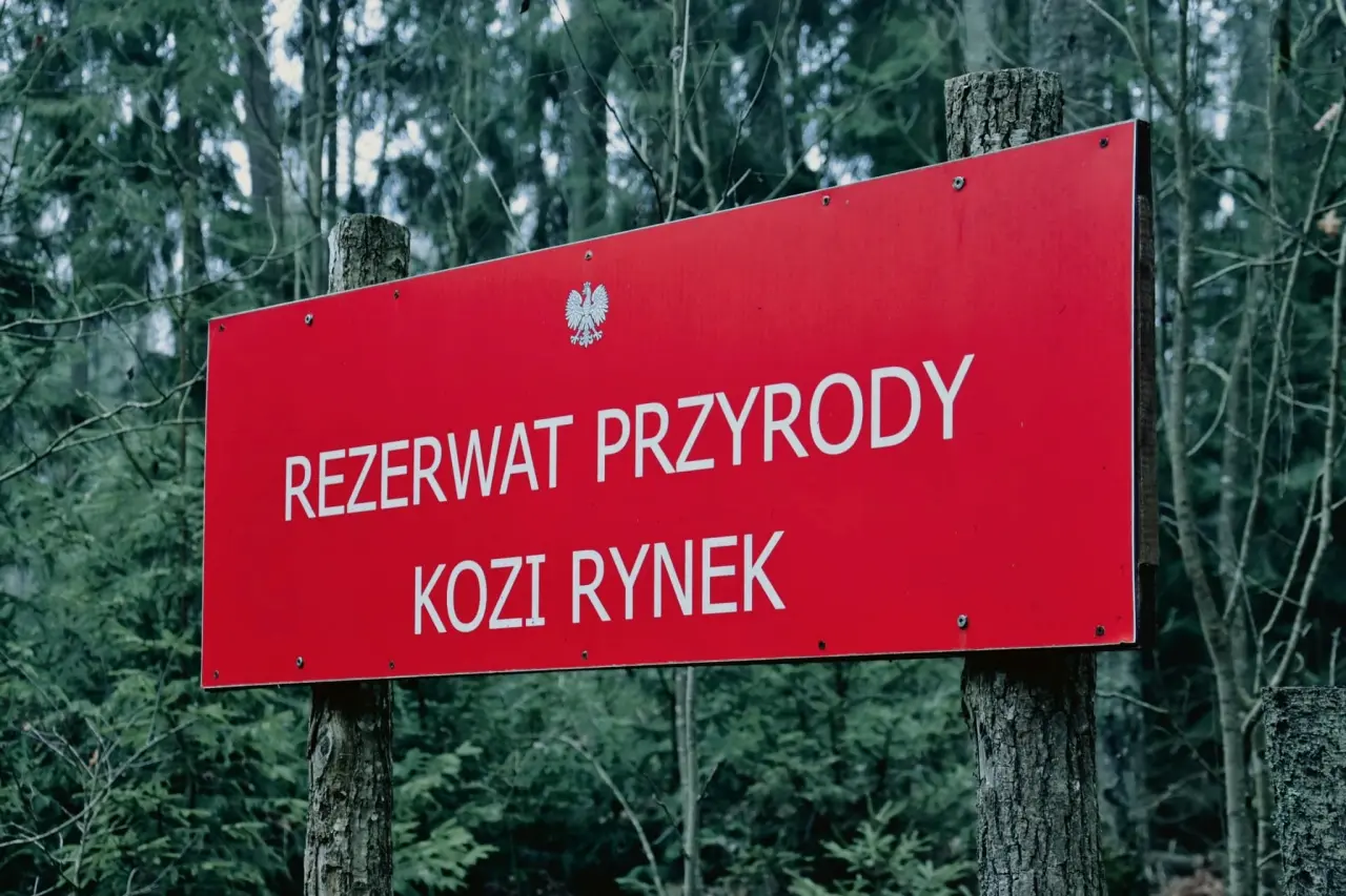 474097792_601334055933538_7116637265054057649_n