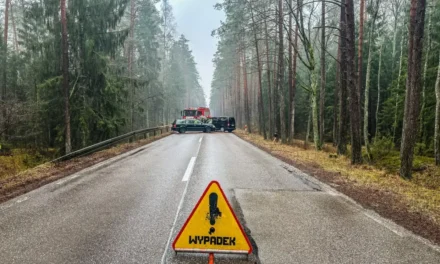 Augustów: Wypadek na DK 16 Augustów – Sejny. Ruch wahadłowy