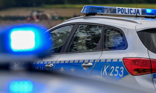 Policja: 11-letnia Patrycja odnaleziona w Żorach; Child Alert został odwołany