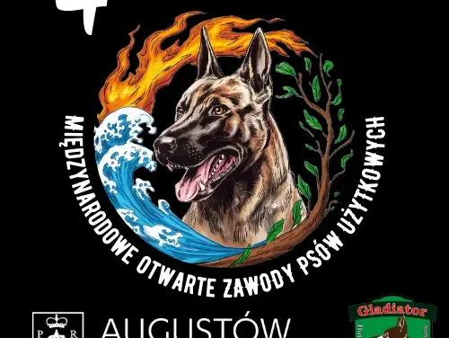 Augustów: 4 Bitwa u Gladiatora. Zawody psów użytkowych