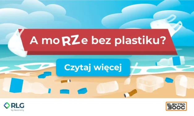 Światowy Dzień Środowiska. Skąd śmieci na plażach? Wyniki badań