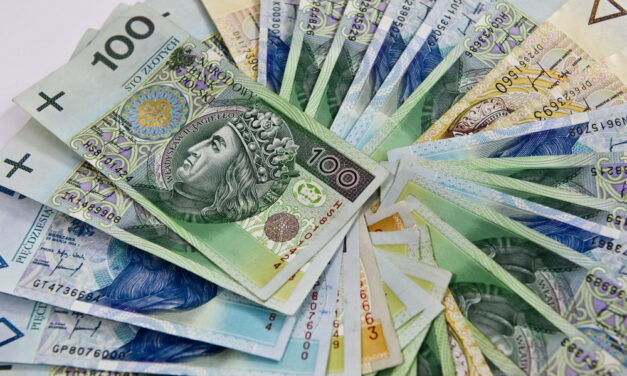 Oszuści pod przykrywką działalności charytatywnej wyłudzili niemal 15 mln zł