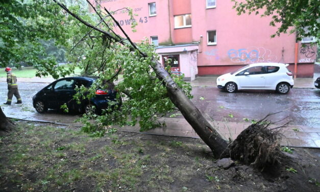 Straż pożarna: 846 zgłoszeń w związku z intensywnymi burzami; jedna osoba ranna