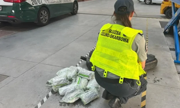Ponad 12,5 kg marihuany zatrzymała podlaska KAS