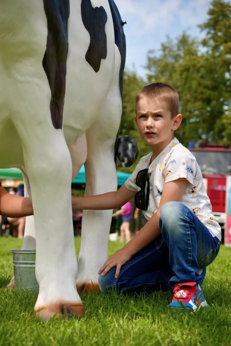 Turniej Kół Gospodyń Wiejskich (46)