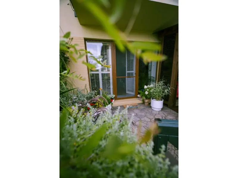 Augustów Dzięki nim Augustów rozkwita (18)