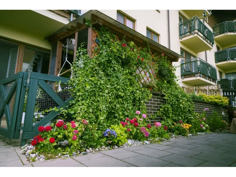 Augustów Dzięki nim Augustów rozkwita (19)