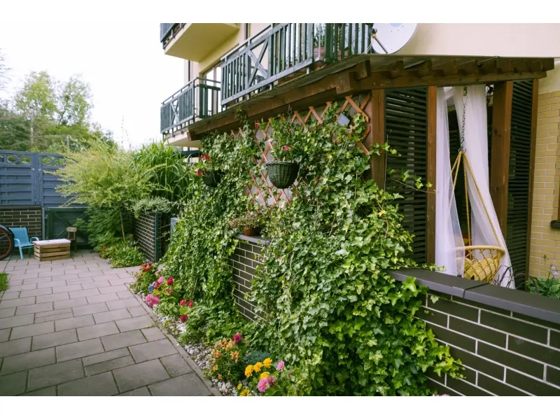 Augustów Dzięki nim Augustów rozkwita (21)