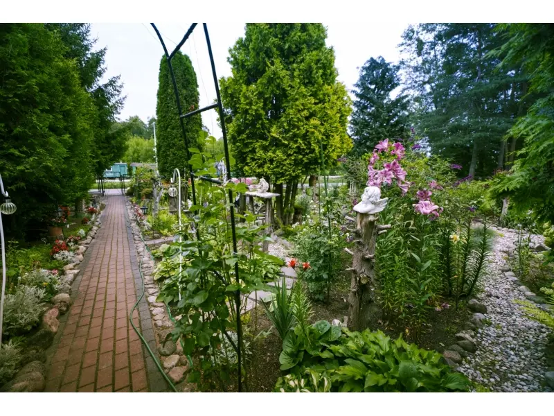 Augustów Dzięki nim Augustów rozkwita (28)