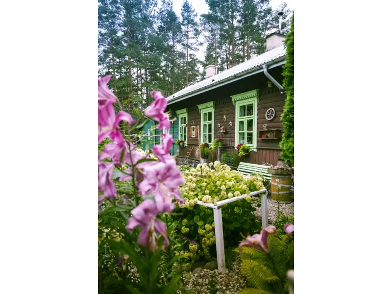 Augustów Dzięki nim Augustów rozkwita (29)