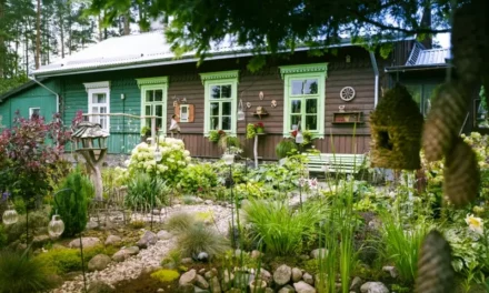Augustów: Dzięki nim Augustów rozkwita. Znamy zwycięzców „kwietnego” konkursu [Foto]