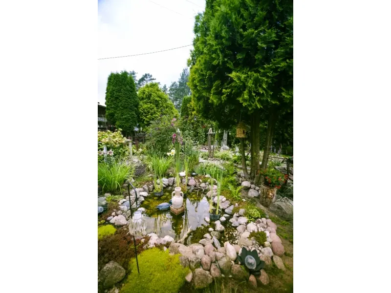 Augustów Dzięki nim Augustów rozkwita (33)