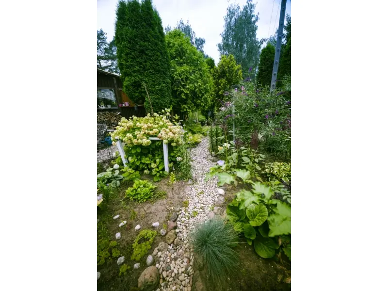 Augustów Dzięki nim Augustów rozkwita (34)