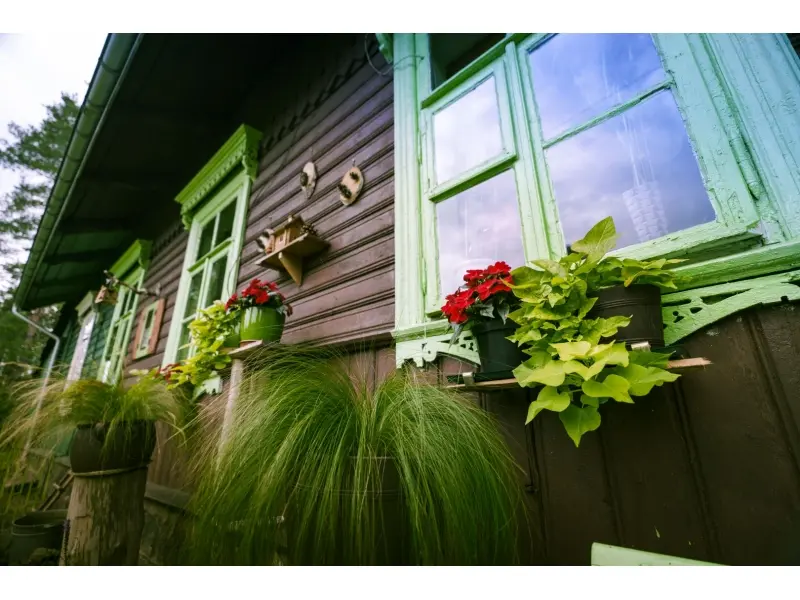 Augustów Dzięki nim Augustów rozkwita (35)