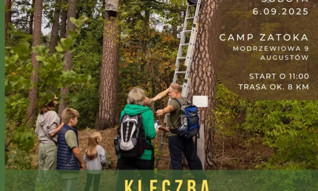 Augustów: Kleczba – Leśne Miodobranie. Kolejna edycja już 6 września 2025 r.