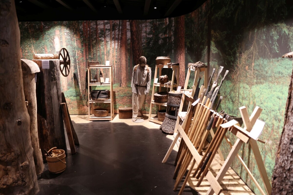 Augustów Trzy nowe rezerwaty przyrody (1)