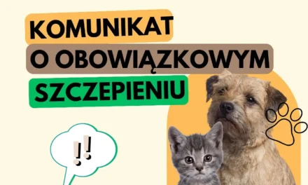 Augustów: Inspekcja Weterynaryjna przypomina o obowiązku szczepień psów i kotów
