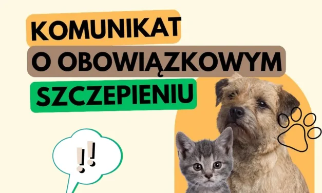 Augustów: Inspekcja Weterynaryjna przypomina o obowiązku szczepień psów i kotów