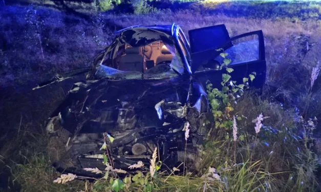 Augustów: Zderzenie z łosiem w miejscowości Szczebra na trasie Suwałki–Augustów