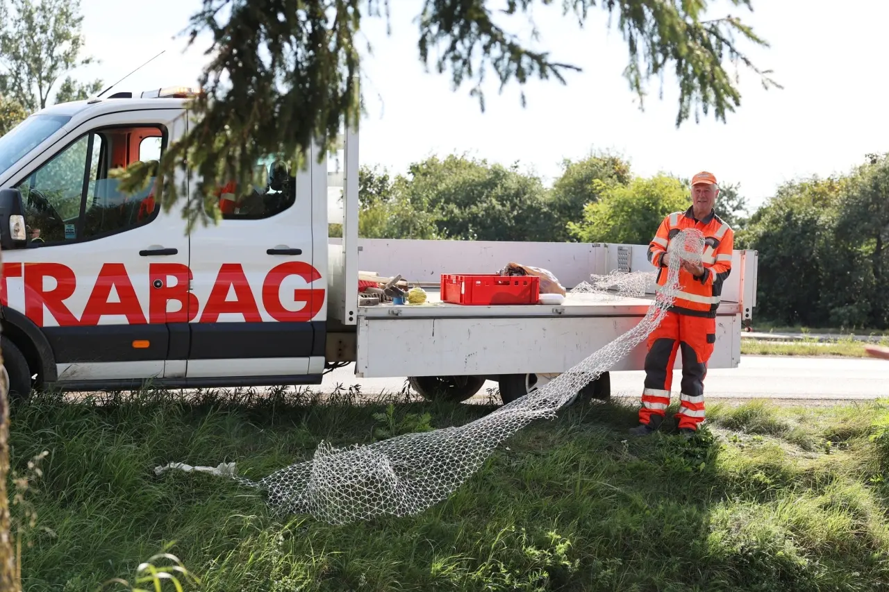 Augustów Lada moment kolejna ścieżka pieszo–rowerowa będzie gotowa (4)