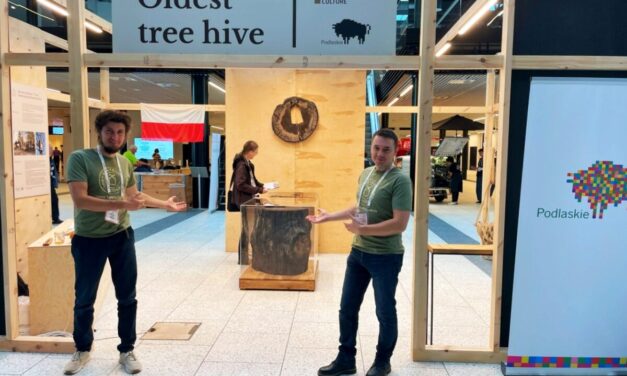 Augustów: Muzeum Kultury Bartniczej na Apimondia 2025 w Kopenhadze