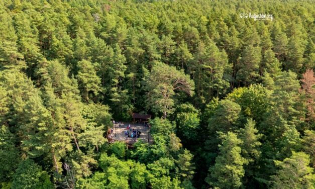 Augustów: Zawiadomienie o wyłożeniu do publicznego wglądu Prognozy oddziaływania na środowisko dla Uproszczonego Planu Urządzenia Lasu …