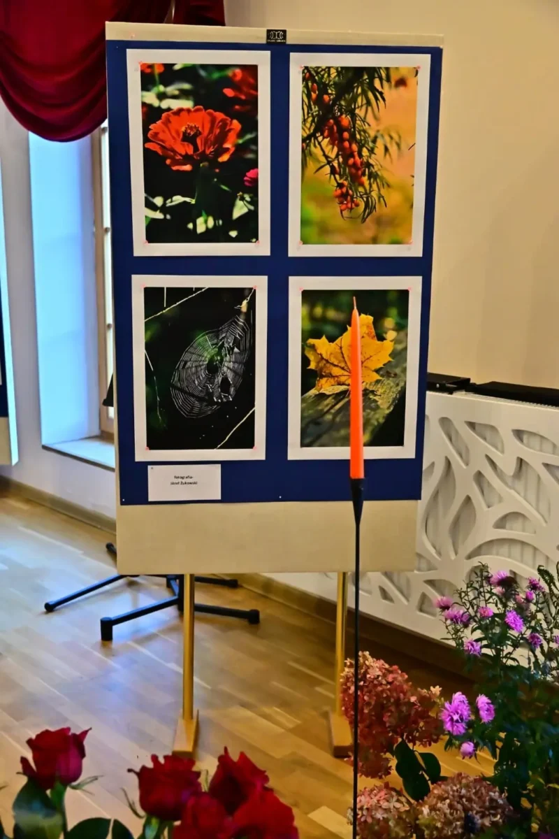 Weekend Seniora z Kulturą (38)