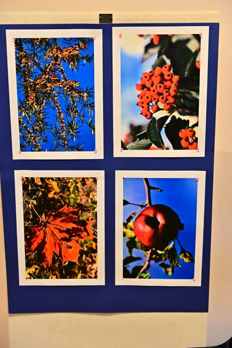 Weekend Seniora z Kulturą (39)